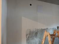 20250209_095009 (1024x768).jpg